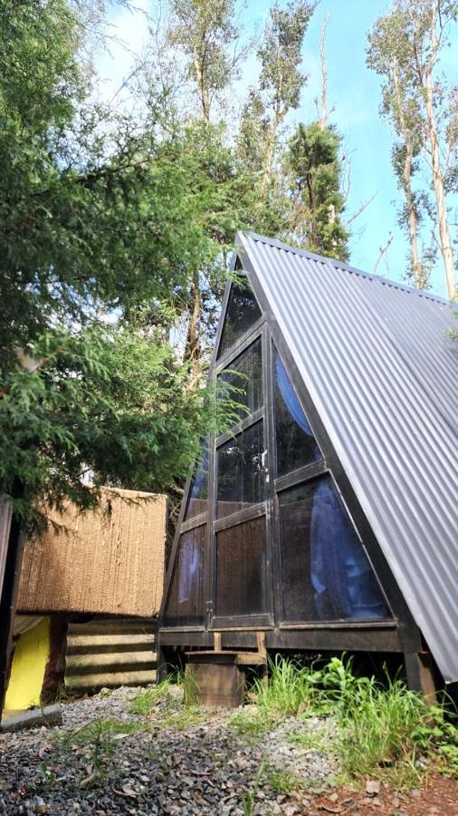 Bob'S Woodside Bungalow Otel Ooty Dış mekan fotoğraf