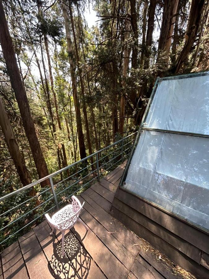 Bob'S Woodside Bungalow Otel Ooty Dış mekan fotoğraf